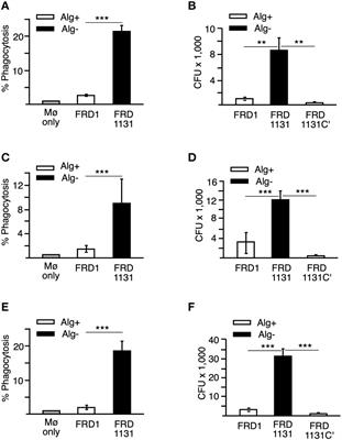 Mechanism of resistance to phagocytosis and pulmonary persistence in mucoid Pseudomonas aeruginosa